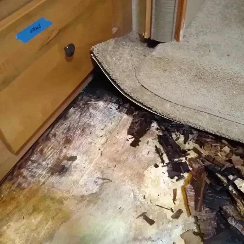 Wood Floor Water Damage in Lincolnwood, IL